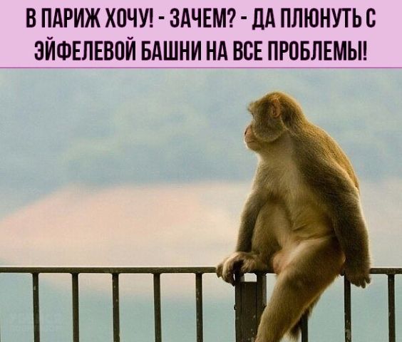 В ПАРИЖ ХОЧУ ЗАЧЕМ ДА ПЛЮНУТЬС ЗЙФЕЛЕВПЙ БАШНИ НА ВСЕ ПРОБЛЕМЫ
