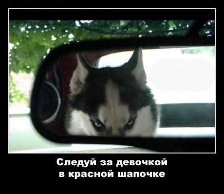 Следуй за девочкой в красной шапочке