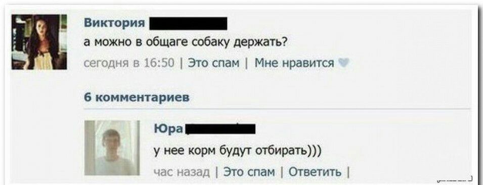 виктория _ а можно в общаге собаку держать студия в 15 50 Это спам Мне нравится 6 комментариев Юра у нее корм будут отбирать мг ид Это спам Ответить __ д