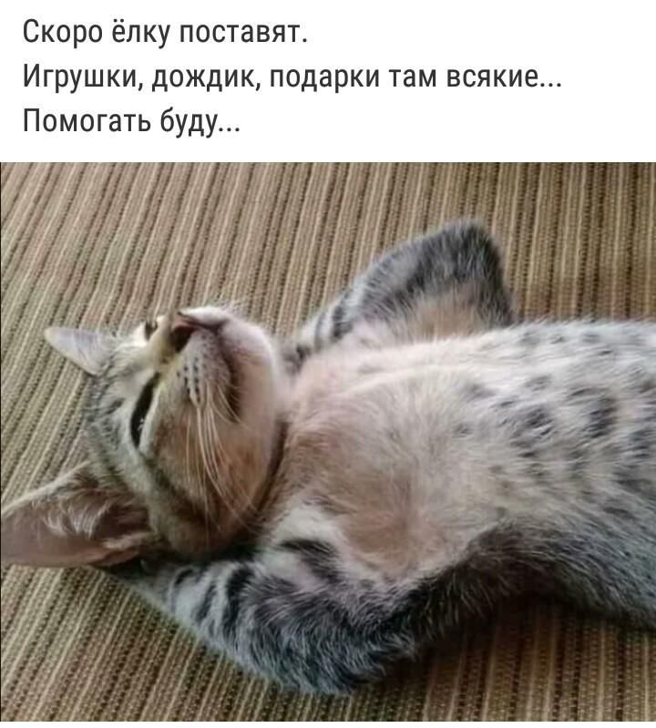Скоро ёлку поставят Игрушки дождик подарки там всякие Помогать буду