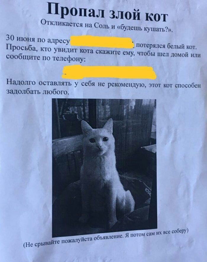 Пропал злой кот От ккаст он на Соль и б тешь кушать 30 июня по адресу потерялся белый кот Просьба кю уншшт кота скажите ему чтобы шел домой или сообпште по тслщропу Надолго оставлять у себя не рекомендую тот кот спосопсп зішолбать любого то йшаоу лич Я о при шпицы поща ч пожх