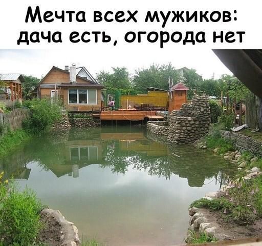 Мечта всех мужиков дача есть огорода нет