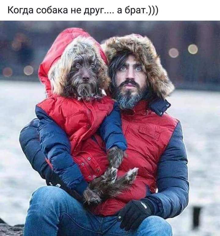 Когда собака не друг а брат