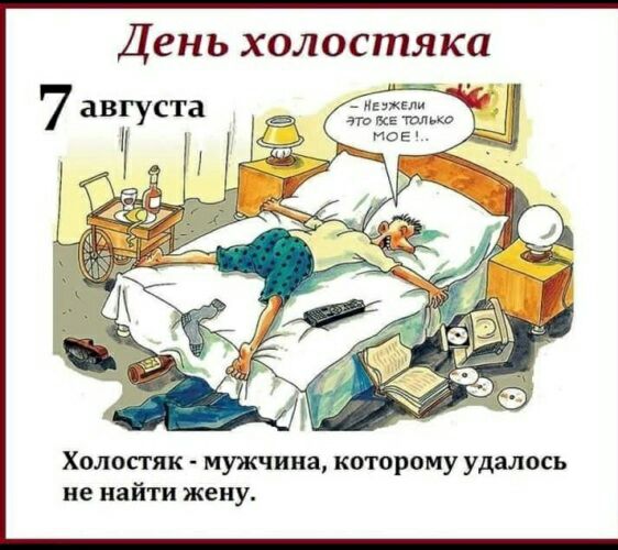 Холостяк мужчина которому удалось не найти жену