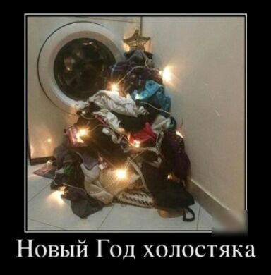 Новый Год холостяка