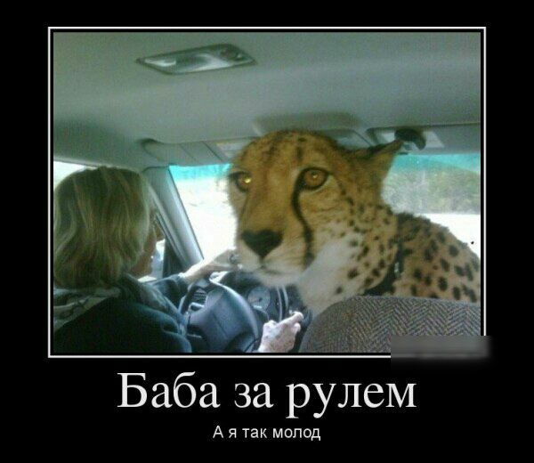 Баба за рулем А я так мопед