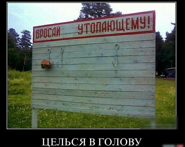 ЕЛЬСЯ В ГОЛОВУ