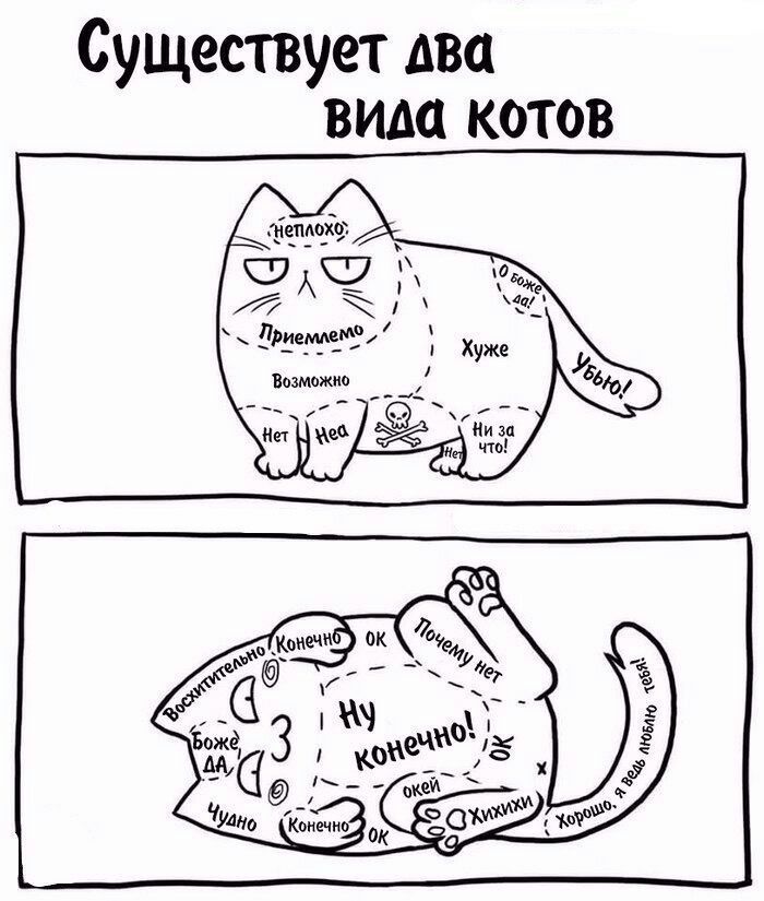 Существует два вида котов еппоіф ъ ЖС д Й 4