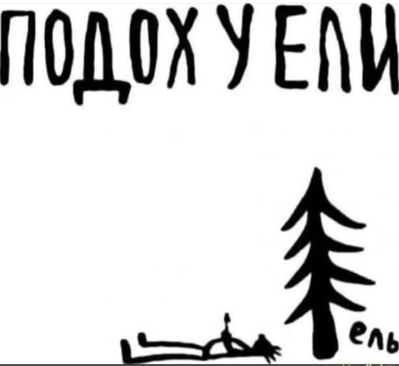 ПОДОХ У ЕЛИ