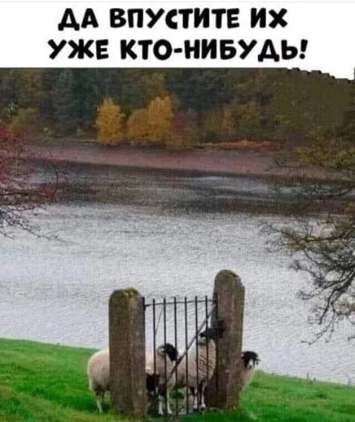ДА ВПУСТИТЕ ИХ УЖЕ КТО-НИБУДЬ!