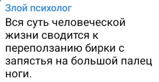 Вся суть человеческой жизни сводится к переползанию бирки с запястья на большой палец ноги.