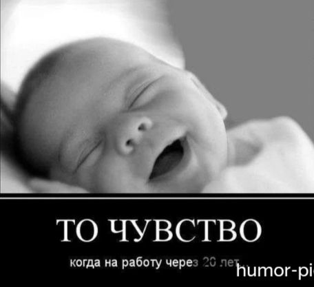 ТО ЧУВСТВО
когда на работу через 20 лет
humor-pi