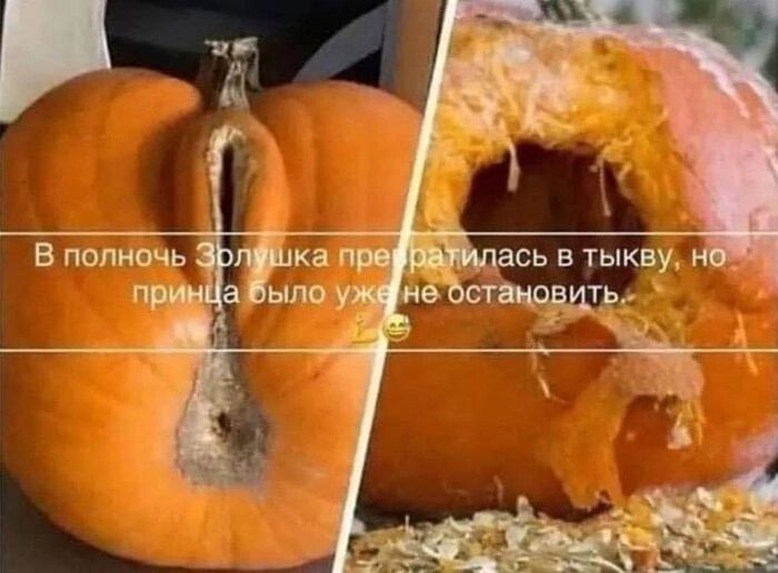 В полночь Золушка преобразилась в тыкву, но принца было уже не остановить 😊