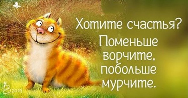 Хотите счастья? Поменьше ворчите, побольше мурчите.