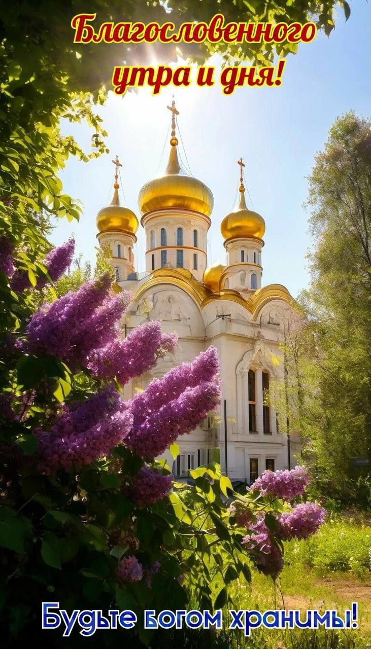 Благословенного утра и дня! Будьте богом хранимы!