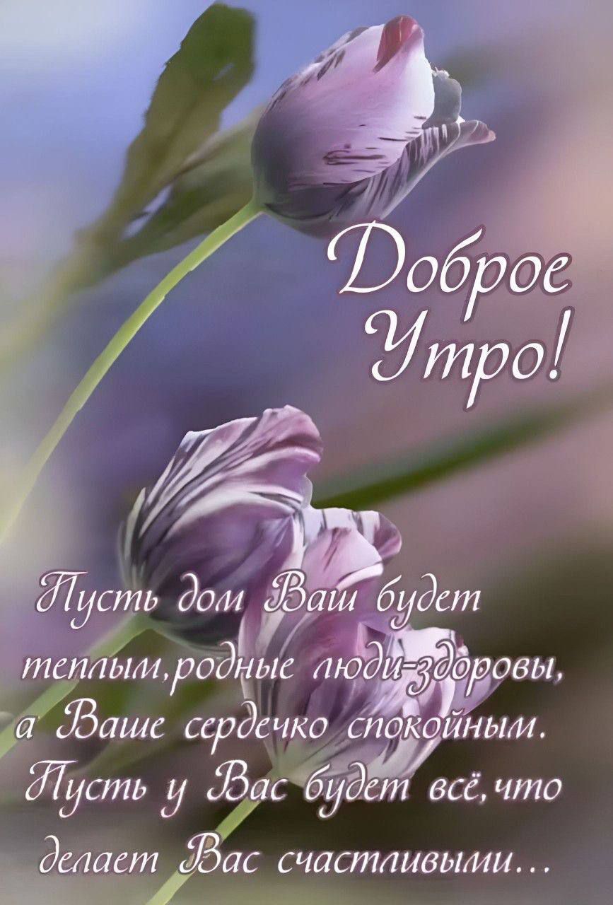 Доброе Утро!
Пусть дом Ваш будет теплым, родные люди - здоровы, а Ваше сердечко спокойным.
Пусть у Вас будет всё, что делает Вас счастливыми...