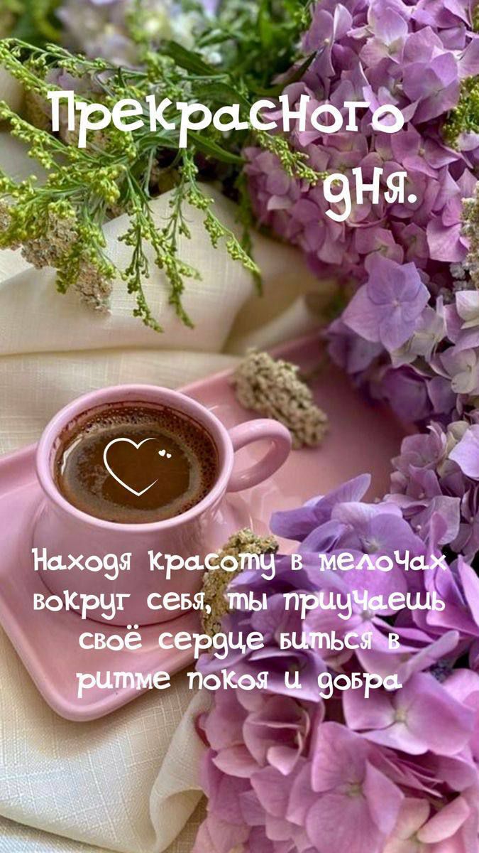 Прекрасного дня.
Находя Красоту в мелочах вокруг себя, ты приучаешь своё сердце биться в ритме покоя и добра.