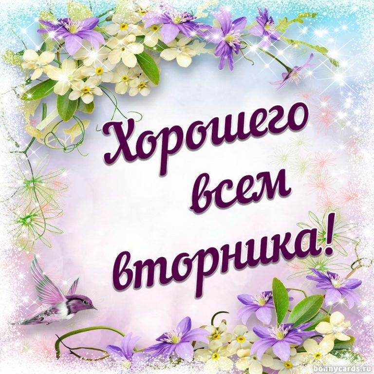 Хорошего всем вторника!