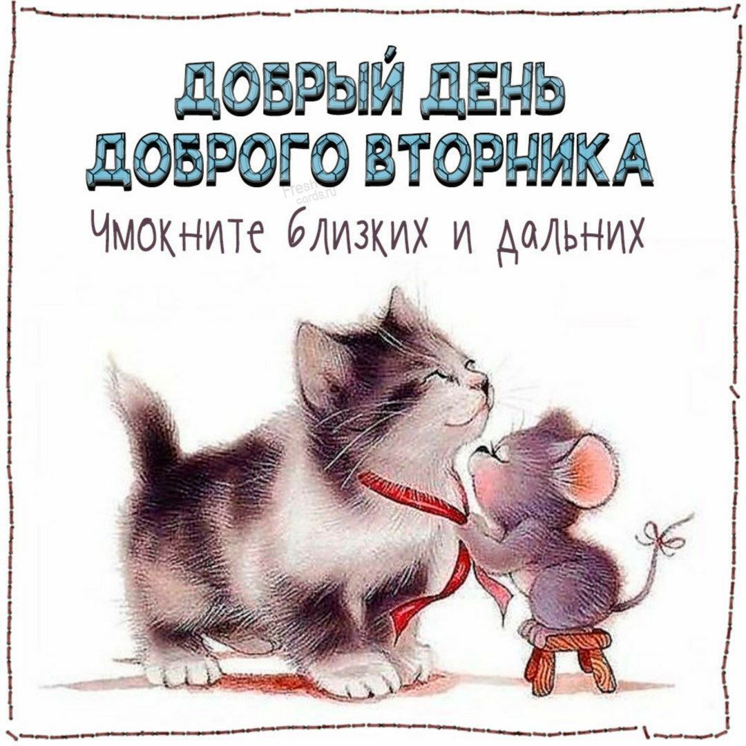 ДОБРЫЙ ДЕНЬ ДОБРОГО ВТОРНИКА
Чмокните близких и дальних