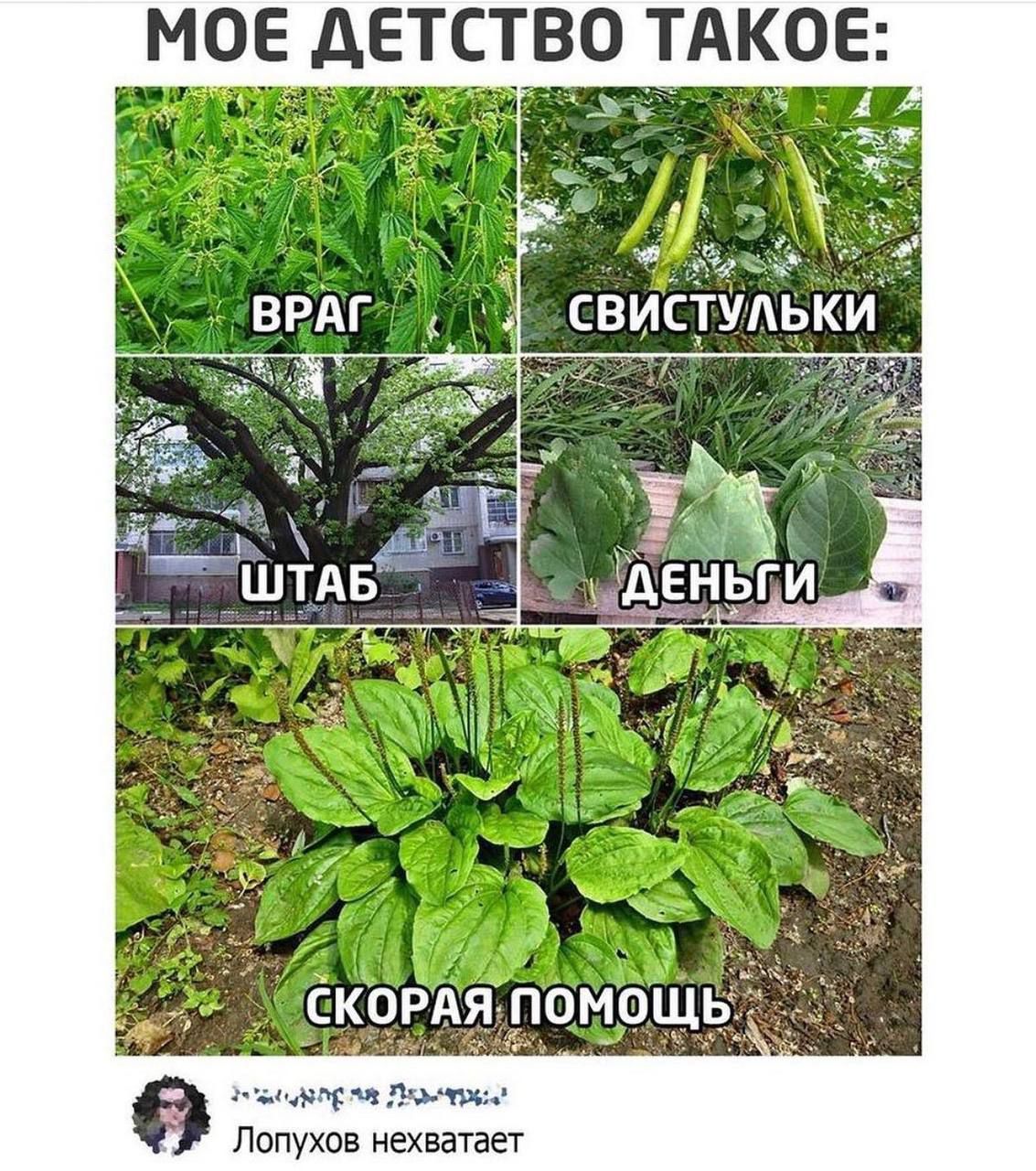 МОЕ ДЕТСТВО ТАКОЕ: ВРАГ СВИСТУЛЬКИ ШТАБ ДЕНЬГИ СКОРАЯ ПОМОЩЬ