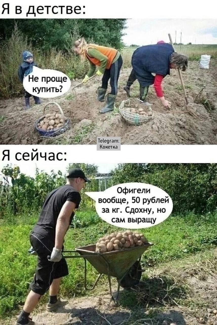 Я в детстве: Не проще купить? Я сейчас: Офигели вообще, 50 рублей за кг. Сдохну, но сам выращу.
