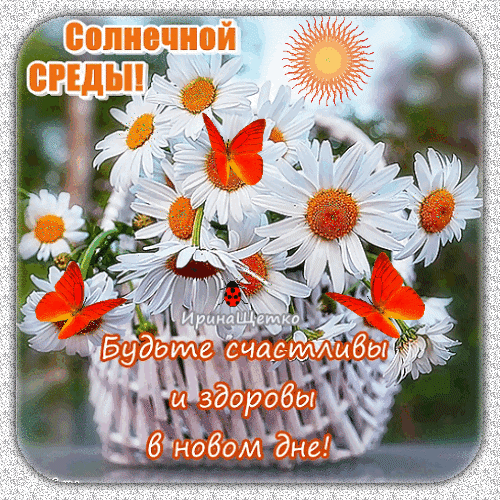 Солнечной СРЕДЫ! Будьте счастливы и здоровы в новом дне!