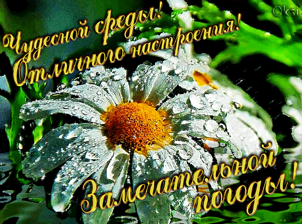 Чудесной среды! Отличного настроения! Замечательной погоды!