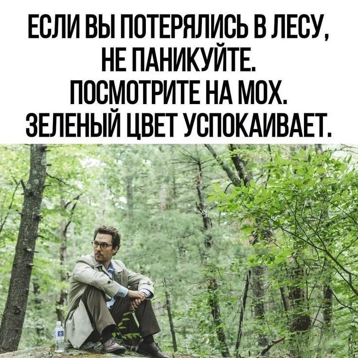 ЕСЛИ ВЫ ПОТЕРЯЛИCЬ В ЛЕСУ,
НЕ ПАНИКУЙТЕ.
ПОСМОТРИТЕ НА МОХ.
ЗЕЛЕНЫЙ ЦВЕТ УСПОКАИВАЕТ.