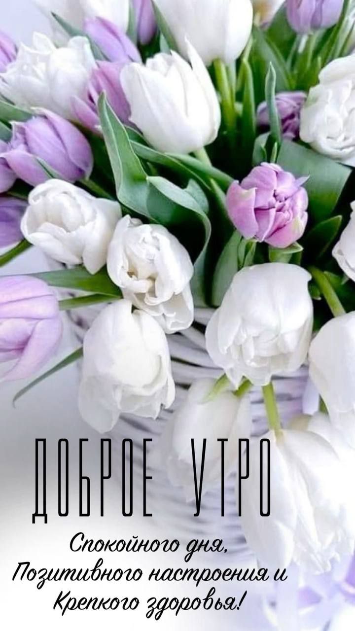 ДОБРОЕ УТРО
Спокойного дня, Позитивного настроения и Крепкого здоровья!