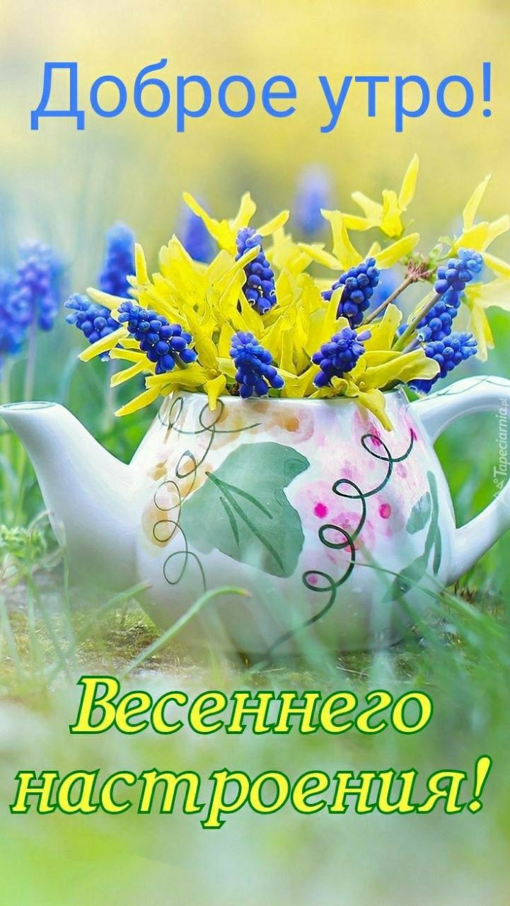 Доброе утро! Весеннего настроения!