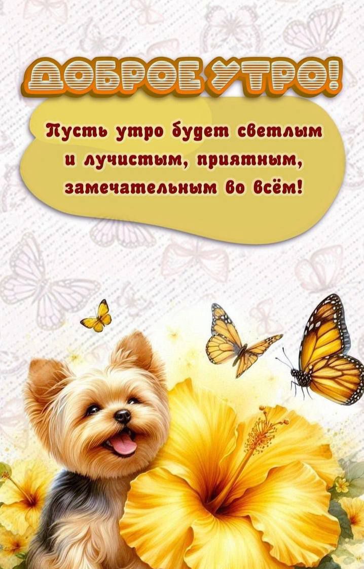 ДОБРОЕ УТРО!
Пусть утро будет светлым и лучистым, приятным, замечательным во всём!