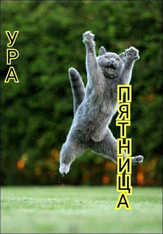 УРА ПЯТНИЦА