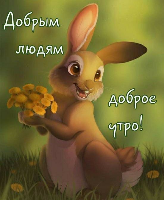Добрым людям доброе утро!