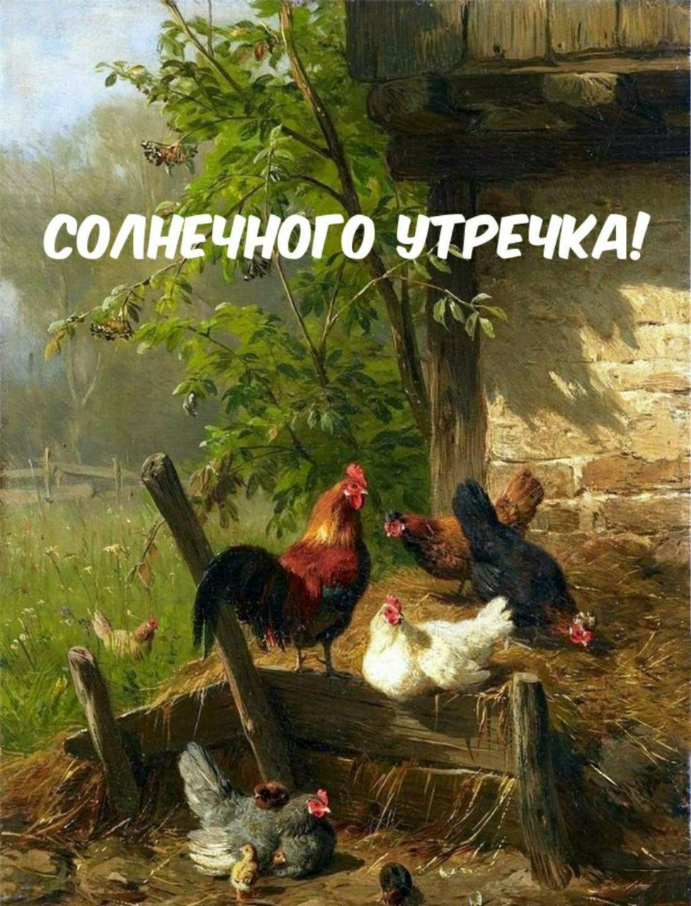 СОЛНЕЧНОГО УТРЕЧКА!