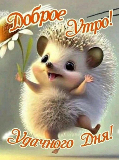 Доброе Утро! Удачного Дня!