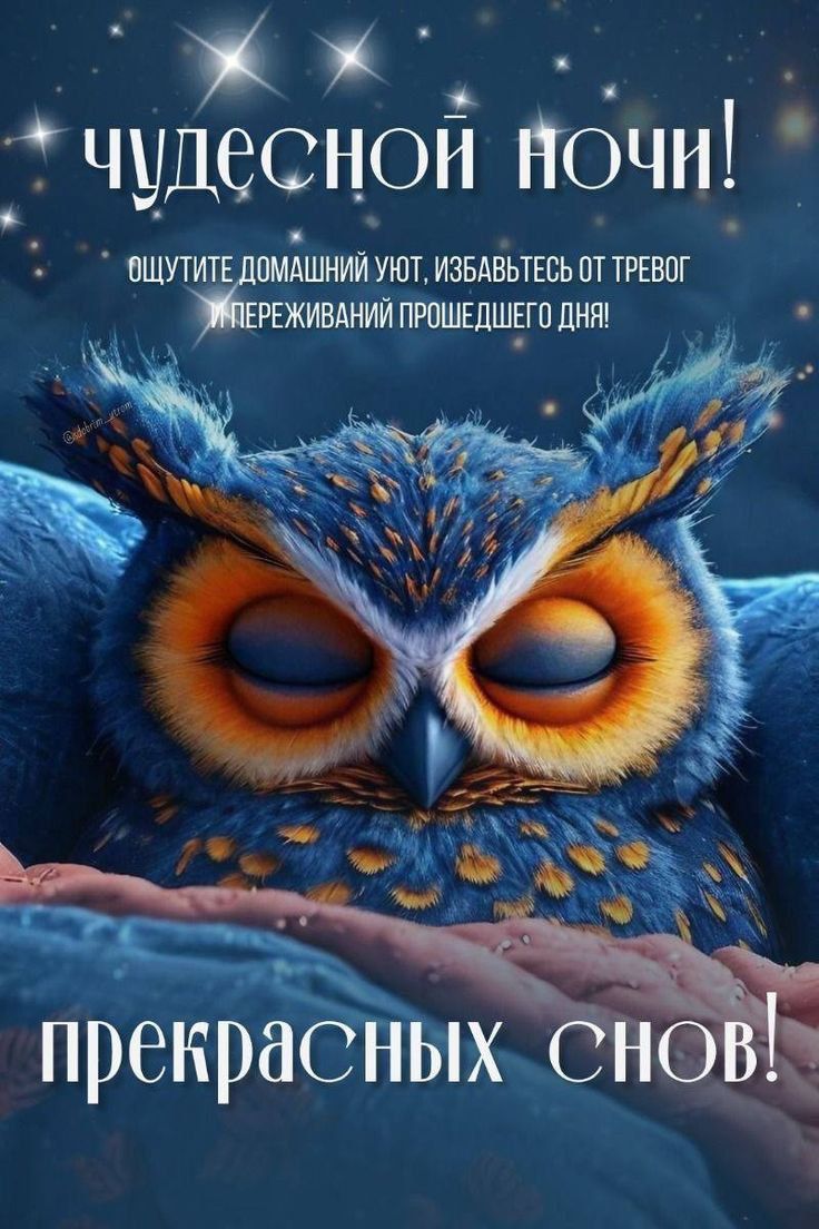 чудесной ночи! Ощутите домашний уют, избавьтесь от тревог и переживаний прошедшего дня! прекрасных снов!