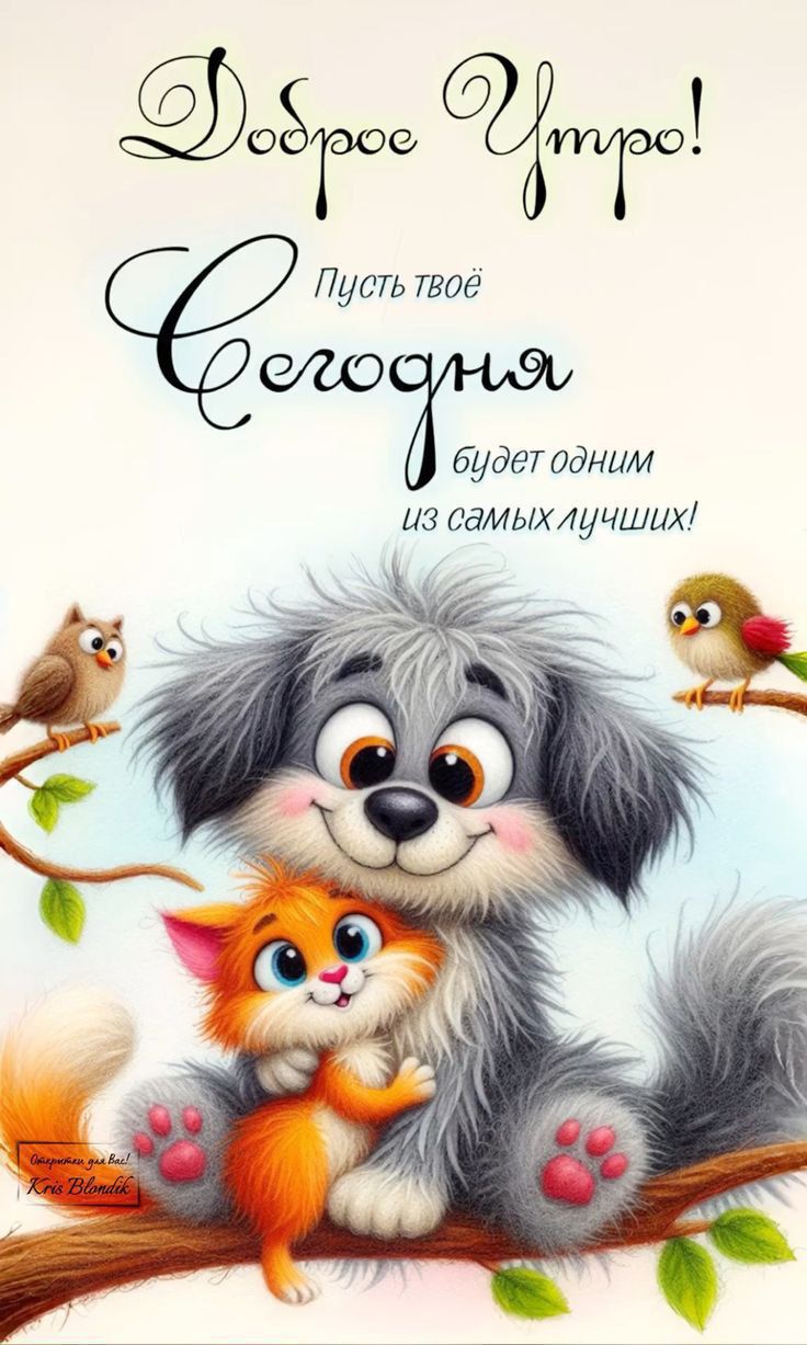 Доброе Утро! Пусть твое Сегодня будет одним из самых лучших!