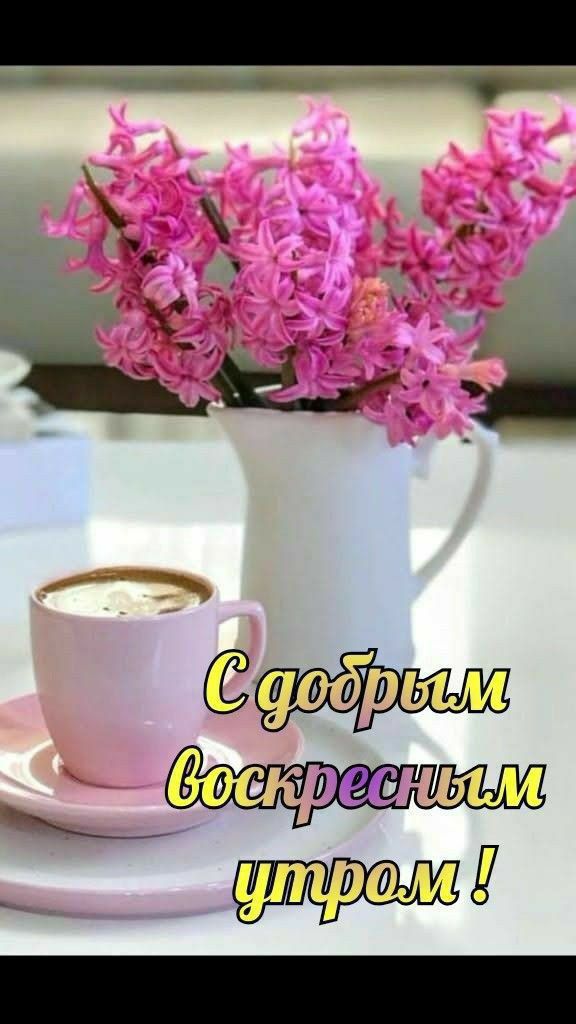 С добрым воскресным утром !