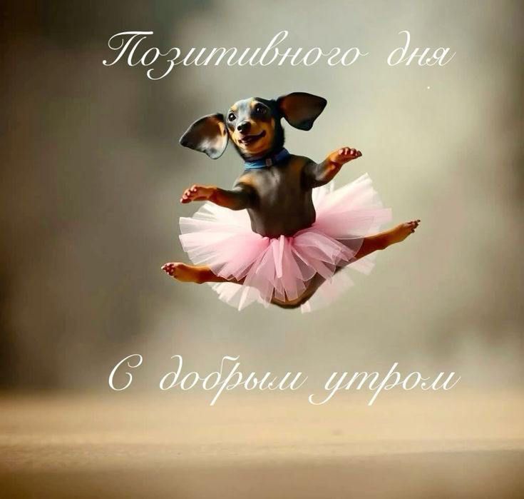 Позитивного дня
С добрым утром