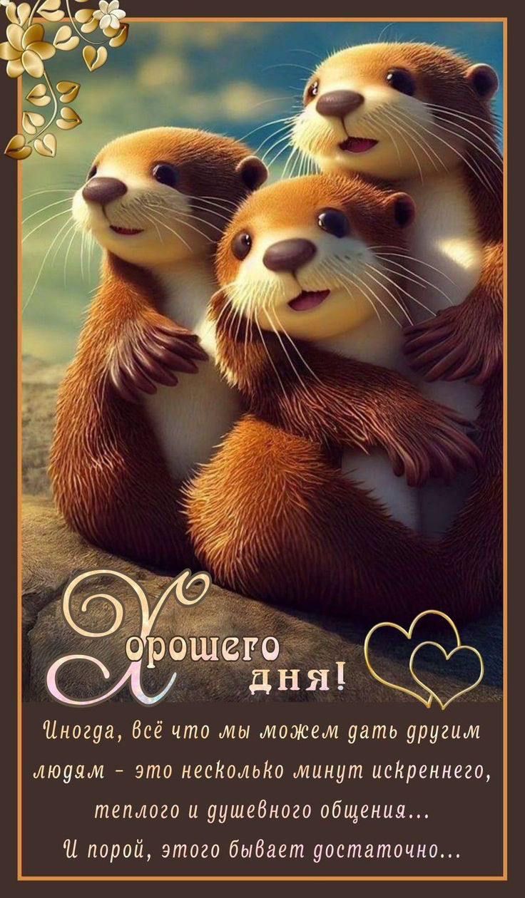 Хорошего дня!
Иногда, всё что мы можем дать другим людям – это несколько минут искреннего, теплого и душевного общения...
И порой, этого бывает достаточно...