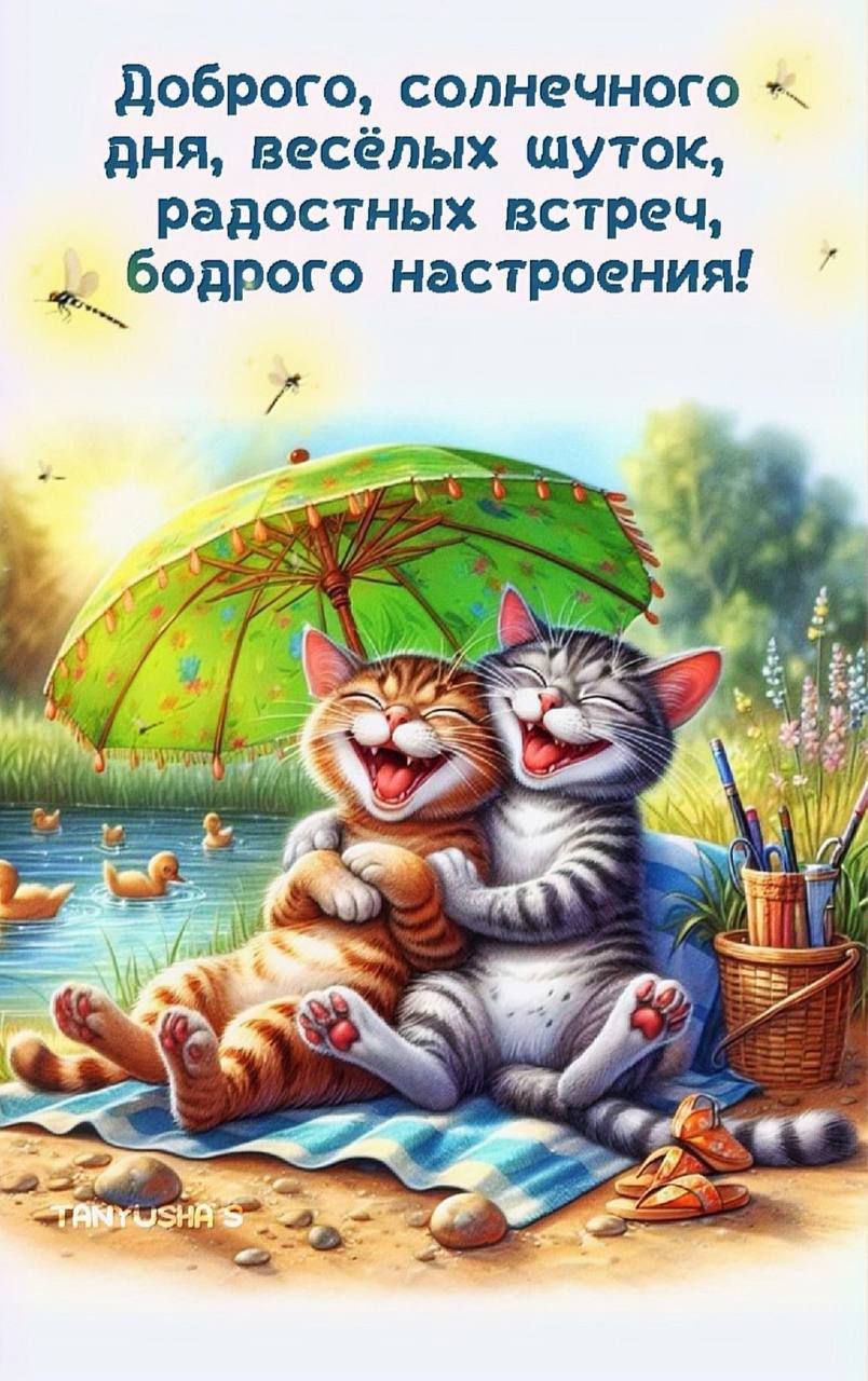 ДоброГО, солнечного дня, весёлых шуток, радостных встреч, бодрого настроения!