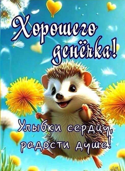 Хорошего денёчка! Улыбки сердечиц, радости душе!