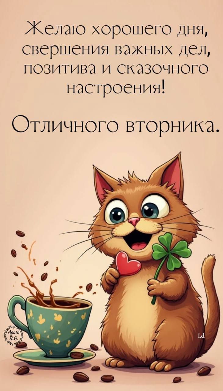 Желаю хорошего дня, свершения важных дел, позитива и сказочного настроения! Отличного вторника.