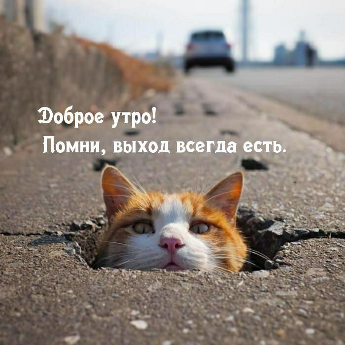 Доброе утро! Помни, выход всегда есть.