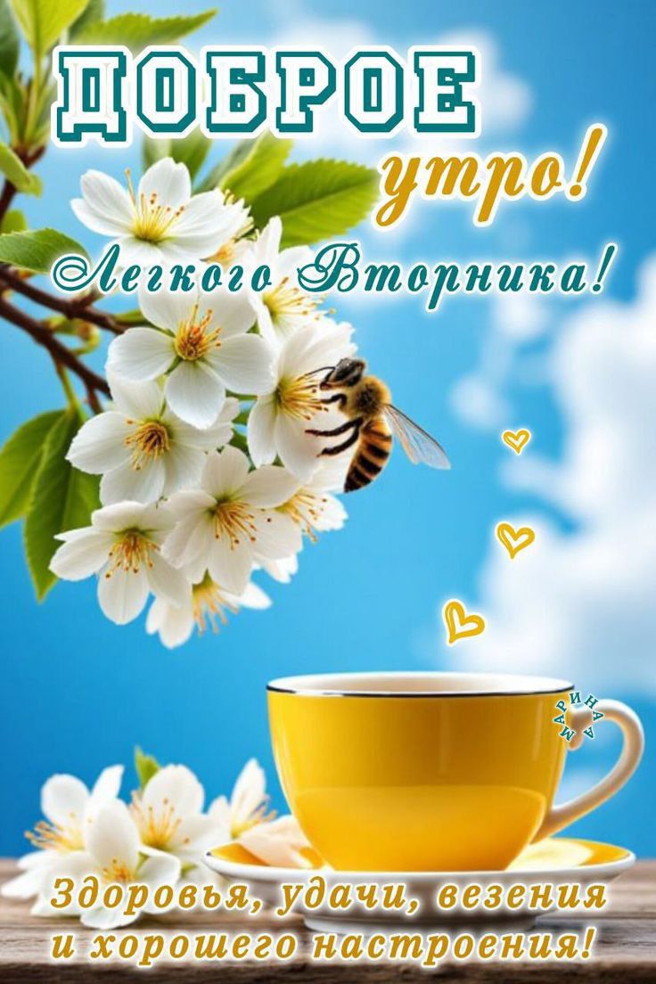ДОБРОЕ утро! Легкого Вторника! Здоровья, удачи, везения и хорошего настроения!