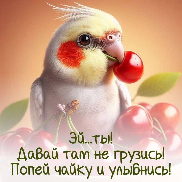 Эй...ты! Давай там не грузись! Попей чайку и улыбнись!