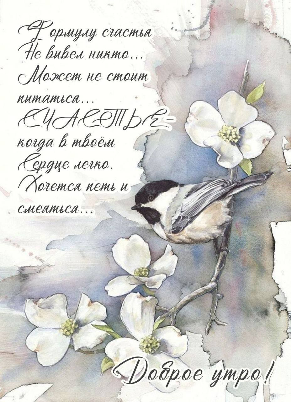 Формулу счастья
Не выведет никто...
Может не стоит
пытаться...
СЧАСТЬЕ
когда в твоём
Сердце легко.
Хочется петь и
смеяться...
Доброе утро!