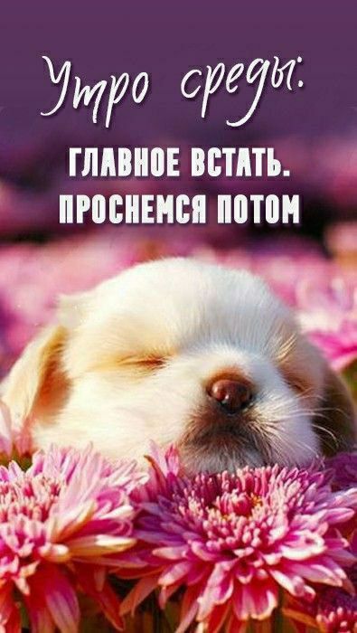 Утро среды:
ГЛАВНОЕ ВСТАТЬ.
ПРОСНЕМСЯ ПОТОМ