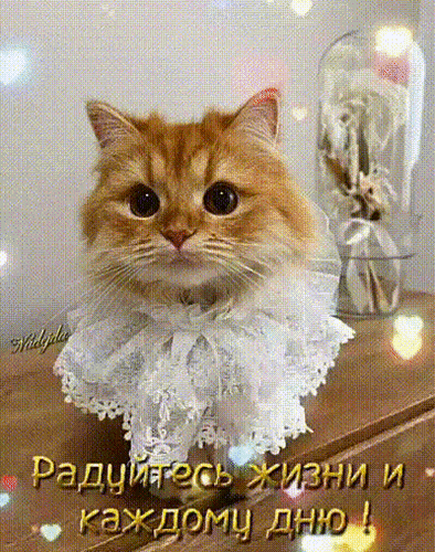 Радуйтесь жизни и каждому дню!