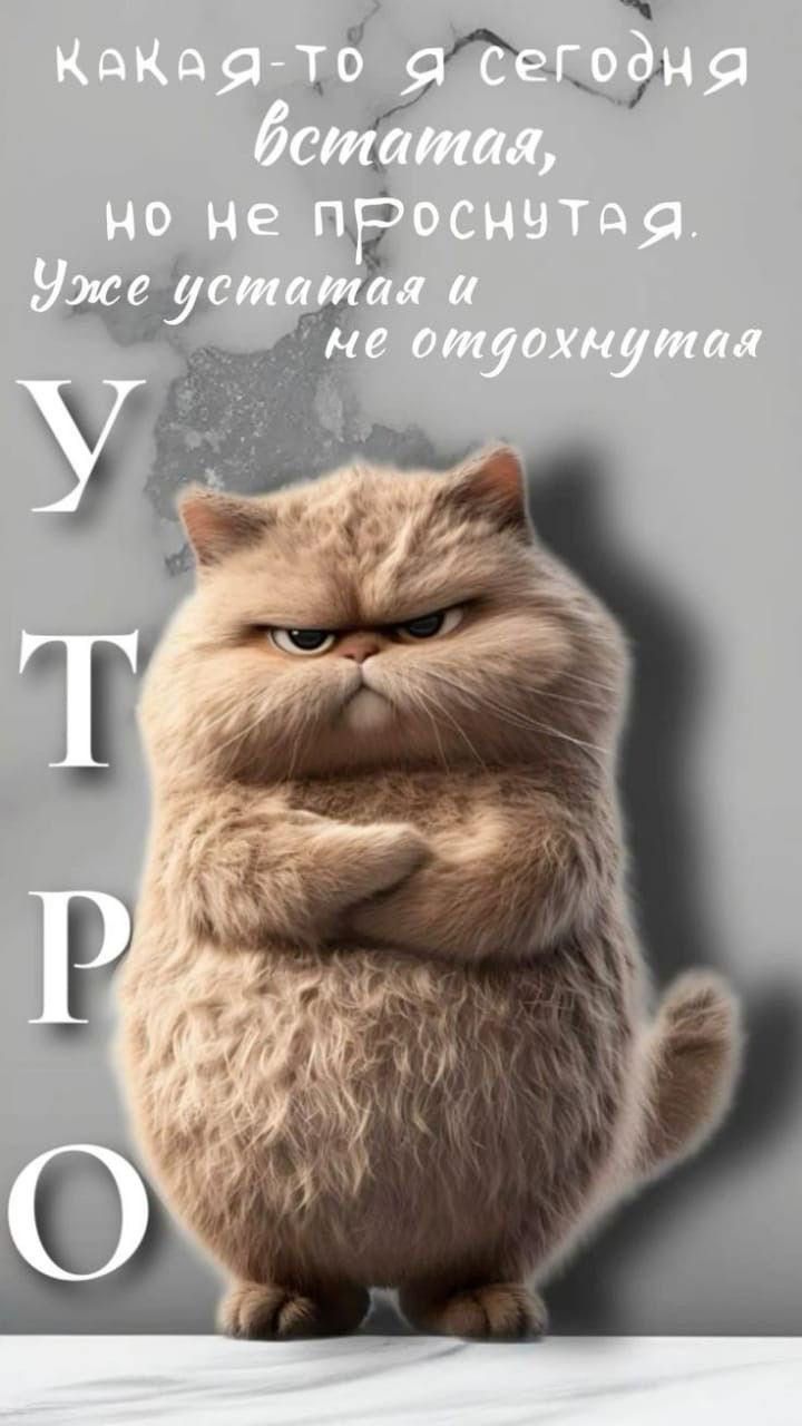 какая-то я сегодня встала, но не проснувшая. Уже устатая и не отдохнувшая УТРО